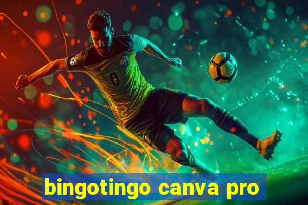 bingotingo canva pro